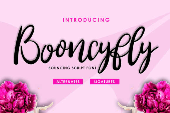 Booncyfly: A Script Font for Elegant Digital Branding