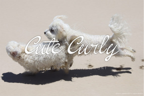Cute Curly: The Handwritten Font for Authentic Small Business Branding