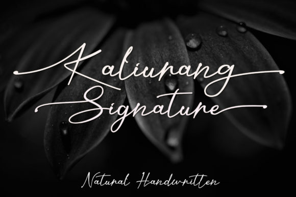 Kaliurang Signature: A Script Amp Typeface for Modern Campaign Design