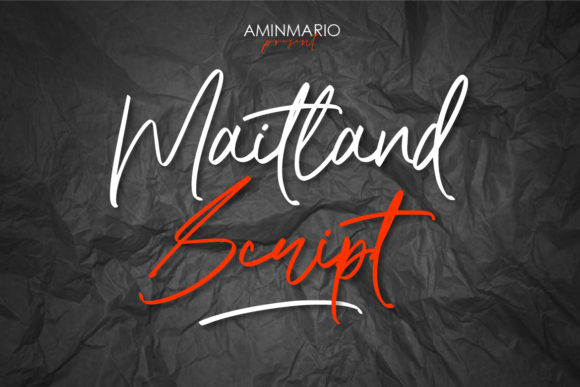 Maitland Font: A Handwritten Typeface for a Polished Brand