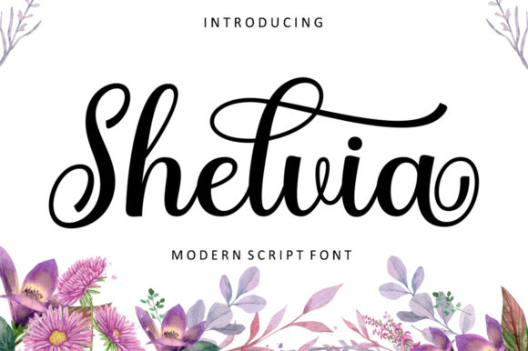 Shelvia: The Elegant Script Font for Modern Web Design